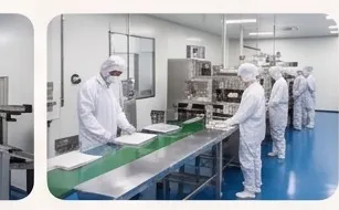Technicians packaging patch sheets on a production line